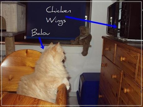 Balou und die Chicken Wings *g*