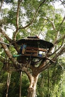 Laos - The Gibbon Experience