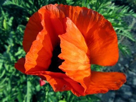 nach langer Zeit mal wieder ein KAL