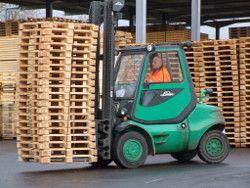 Transportmittel aus Holz sind umweltgerechte Allroundtalente. Foto: HPE