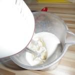 Einfach Joghurt-Eis machen!