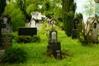 Friedhof Landsberg IV – Grabstätten