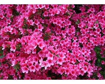 Übernimm die Verantwortung!