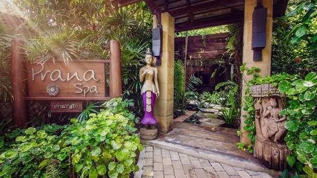 Tongsai Bay - Eco Resort auf Koh Samui Thailand - Yoga Resort
