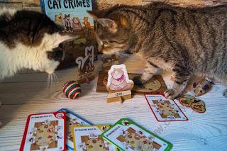 Warum ich Angst habe, dass sich meine Katzen Ideen für Unsinn geholt haben und was unsere Nichte damit zu tun hat #CatCrimes #Thinkfun #Spiele