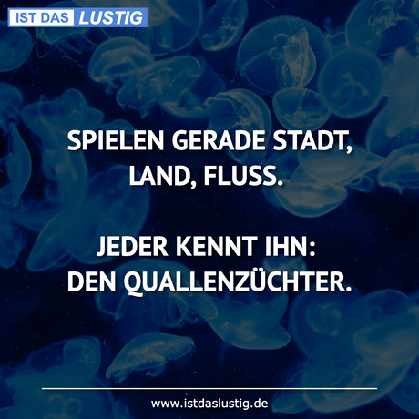 Lustiger BilderSpruch - SPIELEN GERADE STADT, LAND, FLUSS.  JEDER KENNT...