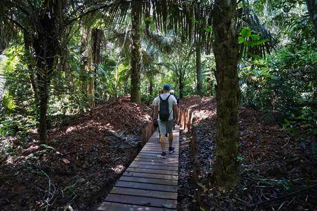 5 Tage im Amazonas – Ein Erfahrungsbericht über Tambopata Jungle Tours