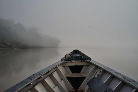 5 Tage im Amazonas – Ein Erfahrungsbericht über Tambopata Jungle Tours