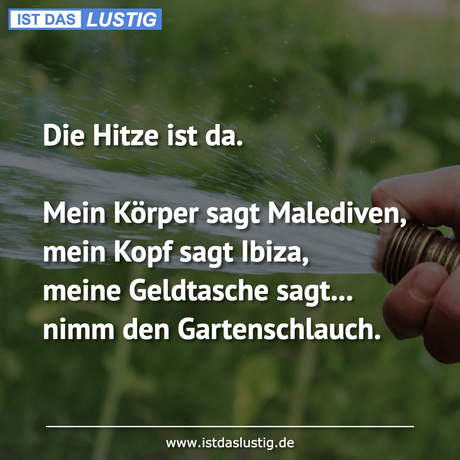 Lustiger BilderSpruch - Die Hitze ist da.  Mein Körper sagt Malediven,...