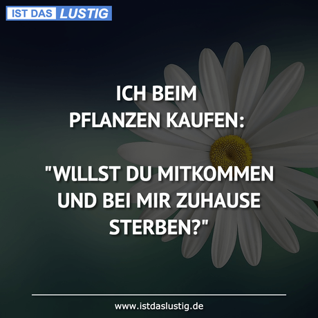 Lustiger BilderSpruch - ICH BEIM PFLANZEN KAUFEN:  
