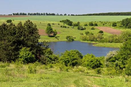 GRUNDSTÜCKE AM EMERALD – SEE ZU VERKAUFEN