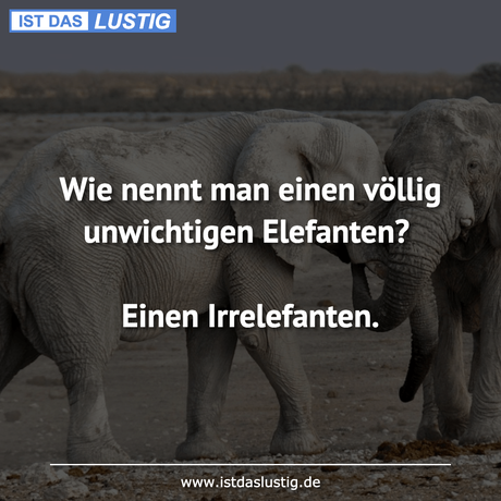 Lustiger BilderSpruch - Wie nennt man einen völlig unwichtigen...