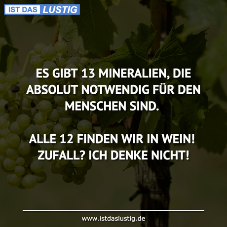 Lustiger BilderSpruch - ES GIBT 13 MINERALIEN, DIE ABSOLUT NOTWENDIG...