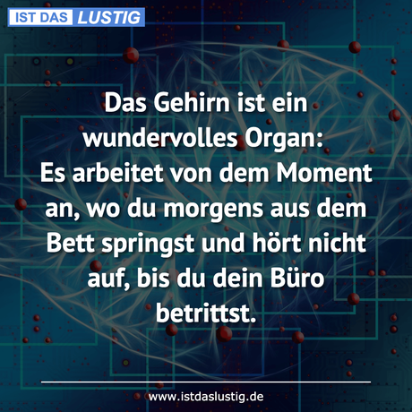 Lustiger BilderSpruch - Das Gehirn ist ein wundervolles Organ: Es...