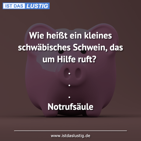 Lustiger BilderSpruch - Wie heißt ein kleines schwäbisches Schwein, das...