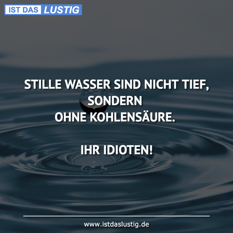 Lustiger BilderSpruch - STILLE WASSER SIND NICHT TIEF, SONDERN OHNE...