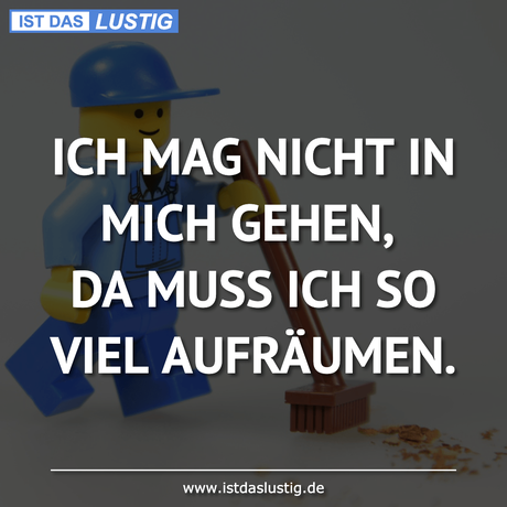 Lustiger BilderSpruch - ICH MAG NICHT IN MICH GEHEN, DA MUSS ICH SO...