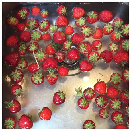 12 von 12 im Juli 2019 – oder – Von Erdbeeren, einer Kühlschrankputz-Session und Rotkohl im Sommer