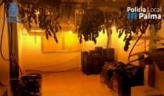 Marihuana-Anbau-Labor in Wohnhaus ausgehoben