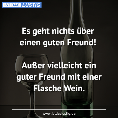 Lustiger BilderSpruch - Es geht nichts über einen guten Freund!  Außer...
