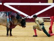 Palma de Mallorca wird Stierkampffrei