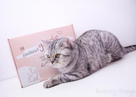 Die GoodieBox für Katzen bei zookauf-shop + Gewinnspiel