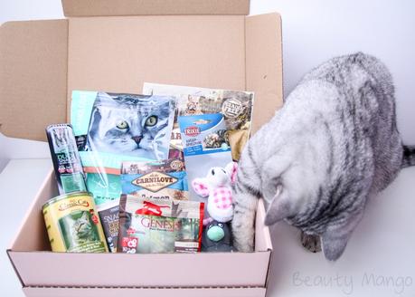 Die GoodieBox für Katzen bei zookauf-shop + Gewinnspiel