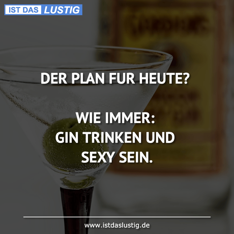 Lustiger BilderSpruch - DER PLAN FUR HEUTE?  WIE IMMER: GIN TRINKEN...