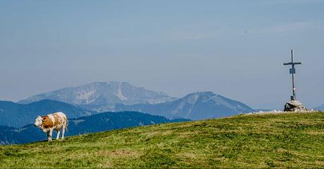 Wandertipp: Seebergalm – Göriacheralm – Hochanger