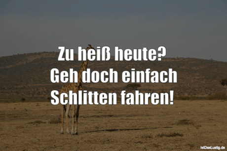 Lustiger BilderSpruch - Zu heiß heute?  Geh doch einfach Schlitten...