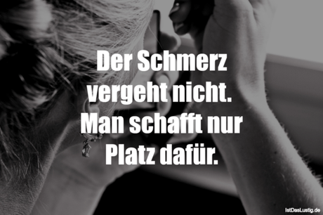 Lustiger BilderSpruch - Der Schmerz vergeht nicht.  Man schafft nur...