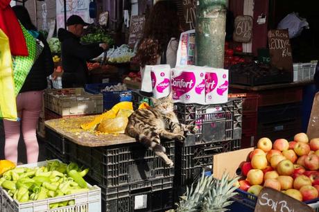 Valparaiso in Chile – die Stadt der Aufzüge