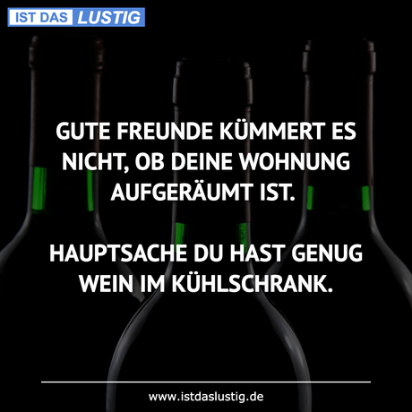Lustiger BilderSpruch - GUTE FREUNDE KÜMMERT ES NICHT, OB DEINE WOHNUNG...