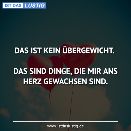 Lustiger BilderSpruch - DAS IST KEIN ÜBERGEWICHT.  DAS SIND DINGE, DIE...