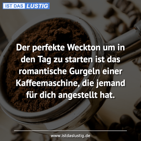 Lustiger BilderSpruch - Der perfekte Weckton um in den Tag zu starten...