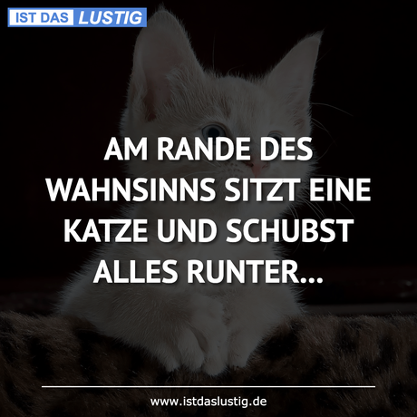 AM RANDE DES WAHNSINNS SITZT EINE KATZE UND...