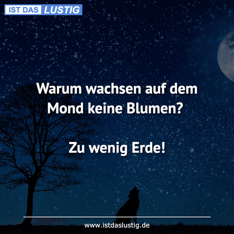 Lustiger BilderSpruch - Warum wachsen auf dem Mond keine Blumen?  Zu...