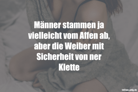 Lustiger BilderSpruch - Männer stammen ja vielleicht vom Affen ab, aber...