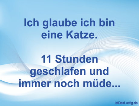Lustiger BilderSpruch - Ich glaube ich bin eine Katze.  11 Stunden...