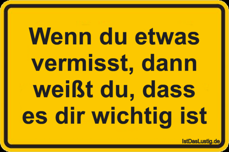 Lustiger BilderSpruch - Wenn du etwas vermisst, dann weißt du, dass es...
