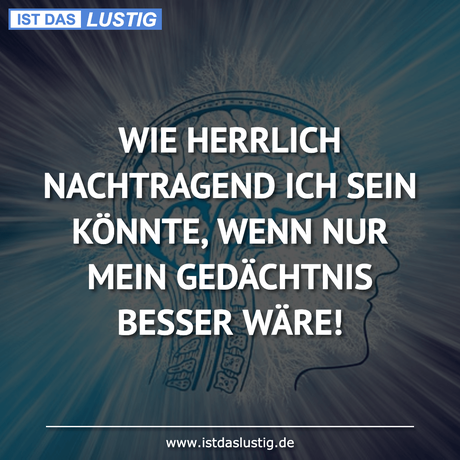 Lustiger BilderSpruch - WIE HERRLICH NACHTRAGEND ICH SEIN KÖNNTE, WENN...