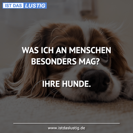 Lustiger BilderSpruch - WAS ICH AN MENSCHEN BESONDERS MAG?  IHRE HUNDE.