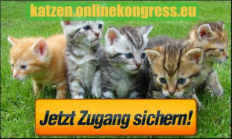 Der Katzen Online Kongress