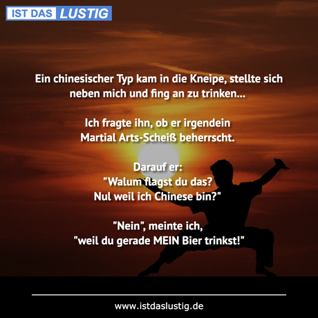 Lustiger BilderSpruch - Ein chinesischer Typ kam in die Kneipe, stellte...