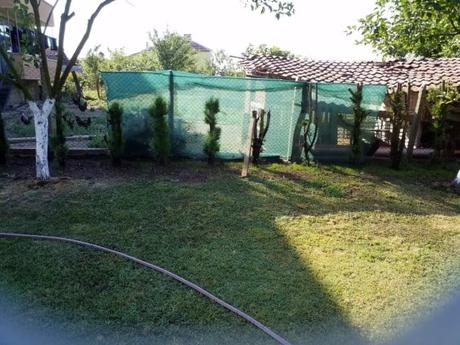 Auftrag durchgeführt