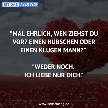 Lustiger BilderSpruch - ”MAL EHRLICH, WEN ZIEHST DU VOR? EINEN HÜBSCHEN...
