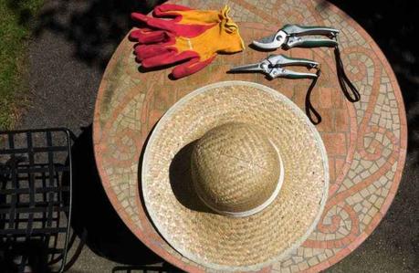 Gartenschere Test und Ratgeber