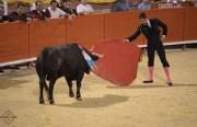 Wieder Stierkampf auf Mallorca