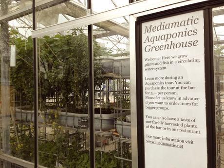 Eco Design Hotspots Amsterdam Aquaponics Greenhouse