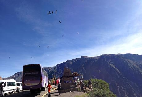 Der Colca Canyon im Süden von Peru: Zu Gast bei den Kondoren